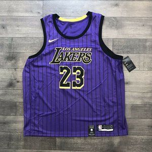 NIKE Los Angeles Lakers LeBron James Jersey 3XL